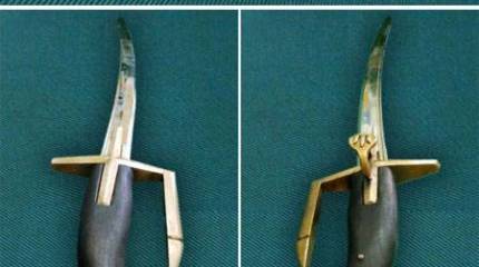 На Украине "декоммунизировали" шашку подразделений почётного караула