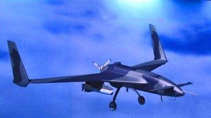 В Индии заявили о сбитом пакистанском БПЛА CH-3A китайского производства