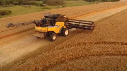 Министр аграрной политики киевского режима назвал количество экспортируемого Украиной зерна