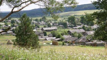 Злые мысли русского немца. О мудрости