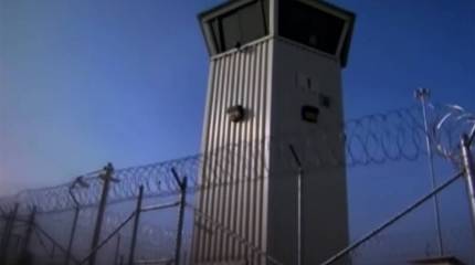 Операция REX: США рискуют стать страной, разделённой колючей проволокой