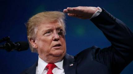 Дональд Трамп захотел купить остров Гренландия