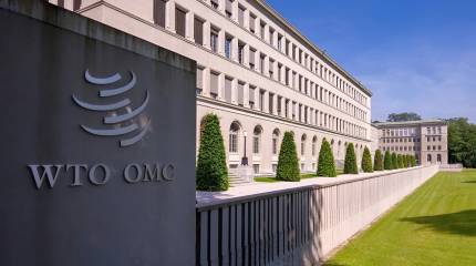 ВТО удовлетворила просьбу РФ создать группу по спору об углеродном механизме ЕС
