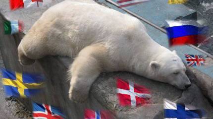 От Великобритании до Сингапура: как мир делит шкуру «арктического» медведя