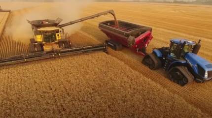 Украинские власти заявили о готовности принять ограничения на ввоз зерна в ЕС ради нормализации отношений с Польшей