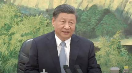 Си Цзиньпин впервые в истории пропустит саммит БРИКС