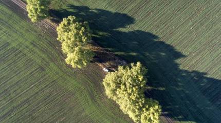 Проект «ЗЗ». Русское сельское хозяйство поднимается при санкциях
