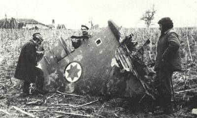 Амнистия 2014-го: «Радуйся молоту в крепкой руке»?