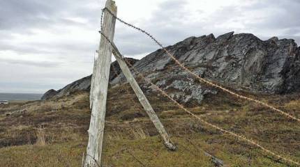 От лагерей до лагерей: европейский путь карпатских русинов