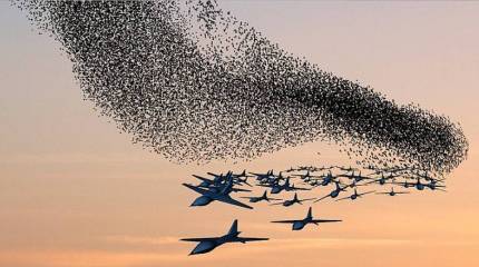 Роботы атакуют роем