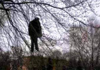 Начальника милиции Мариуполя повесили на осине?