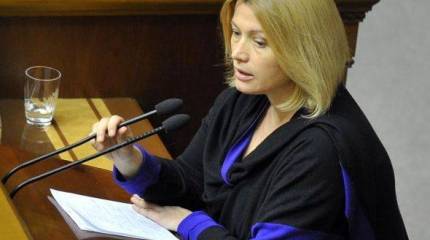 Зампред ВРУ: Урегулирование в Донбассе тормозят выборы во Франции и Германии