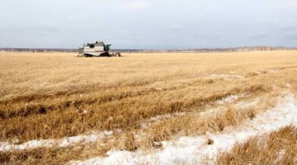 Своеобразие русского национального характера ("Literarni noviny", Чехия)