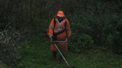 Минтруд предложил высылать трудовых мигрантов, которые работают в России не по профилю