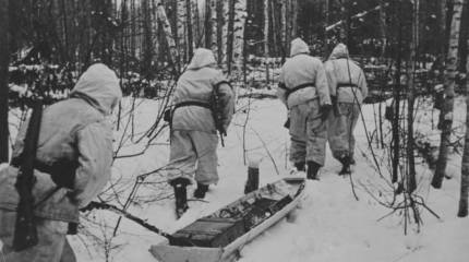 Демянская десантная операция: о причинах трагедии