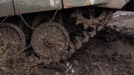 Польский профессор: Украина уже достаточно размокла, Трамп продолжает размягчать