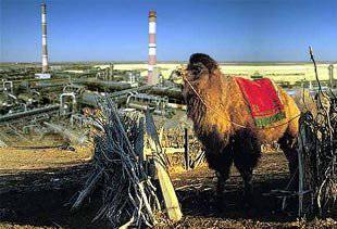 Племенной отбор: Казахстан и Киргизия продолжают делиться на племена