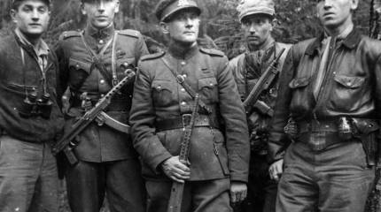 "Великая чистка": борьба с литовскими "лесными братьями"