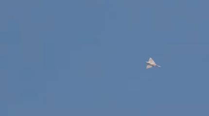 Пресса БВ иллюстрирует сообщения о якобы сбитом Mirage-2000 ОАЭ кадрами из игры