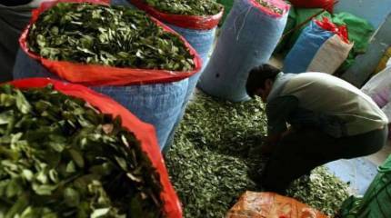 Россия в списке потенциальных поставщиков истребителей для МО Боливии