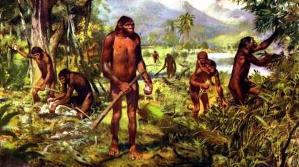 Древние культуры нашей страны: Куйбышевская экспедиция против буржуазных фальсификаторов