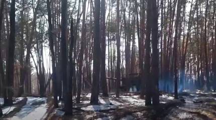 ВС РФ заняли новые территории Сумской области, срезая Бачевский выступ