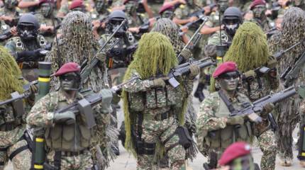 Вооружаются, чтобы сдаться