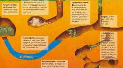 Тайна вьетконга, подземные партизаны