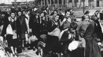 Werwolf - партизаны Третьего Рейха. Германские территории, присоединенные к Польше и западная Польша