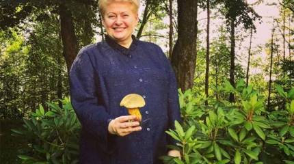 Грибаускайте усомнилась в том, что НАТО защитит Литву в случае военного конфликта