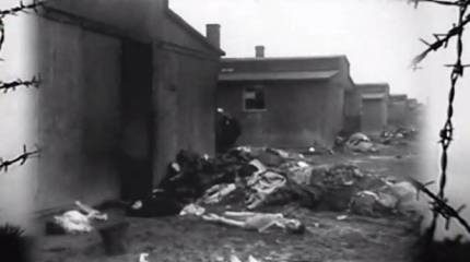 Прибалтика. Оккупация головного мозга