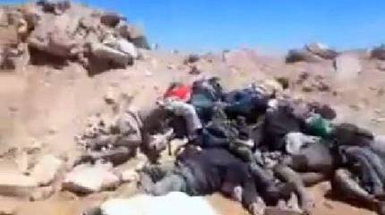 Сирийские контрасты