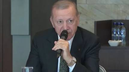 Американский журналист: США напуганы намерением Турции присоединиться к БРИКС