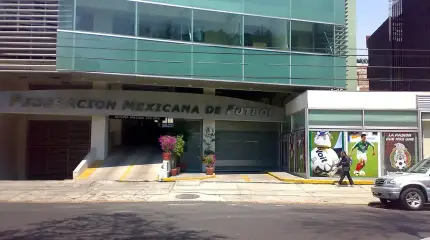 Из-за событий в Мексике возникли вопросы о возможности проведения там ЧМ-2026