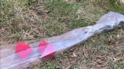 Полиция и СБУ в Одессе ищут горожан, принесших цветы к снесенному памятнику Екатерине II