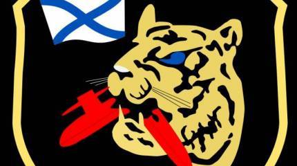 Сообщить куда следует: реакция в США на видео о «Звериной дивизии»