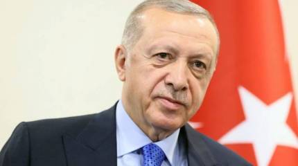 Эрдоган обозначил скорейшее перемирие на Украине как главную цель Турции