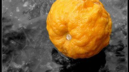 «Оранжевая революция» КПРФ