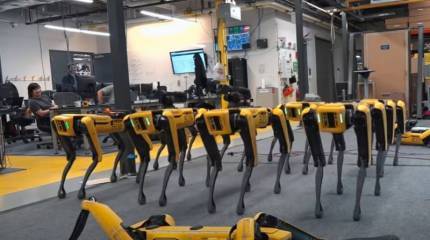 Обратная сторона цифровизации