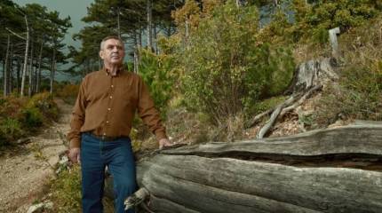 Образцовый командир, защитник авиаполка от оптимизации