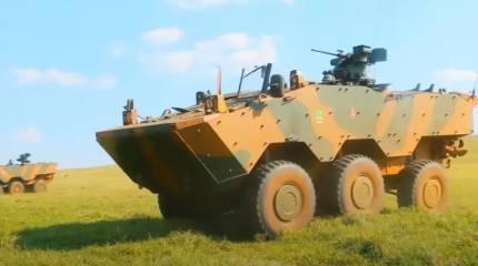 Stryker выступил против Guarani: США пытаются перебить продажу бразильских бронемашин Аргентине