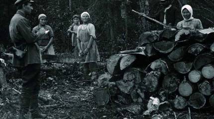 В попытках разгадать суть событий 1937 года в СССР