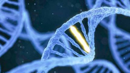 Генетика – наше всё? Биологическая инициатива президента Путина