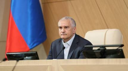 Глава Крыма пообещал президенту России нормализовать ситуацию с пожаром на полигоне в течение суток