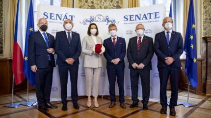 Чешский Сенат: Мы считаем Светлану Тихановскую президентом Беларуси и устраиваем для неё соответствующий приём