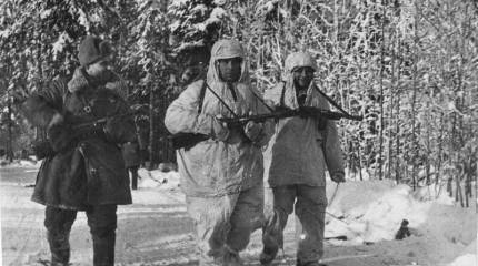 Необычный случай на войне