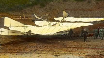 Трехкрылый нелетун