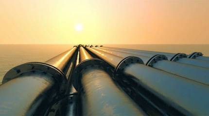 В Киеве решили, что Румыния сможет остановить строительство "СП-2"