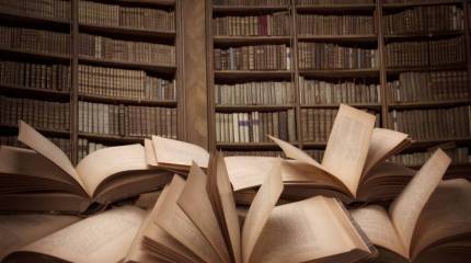 Клуб любителей пятницы: Что-то мешает окультуриваться