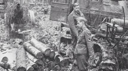 Как вермахт повстречался с русским лесом